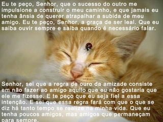 Eu te peço, Senhor, que o sucesso do outro me
impulsione a construir o meu caminho, e que jamais eu
tenha ânsia de querer atrapalhar a subida de meu
amigo. Eu te peço, Senhor, a graça de ser leal. Que eu
saiba ouvir sempre e saiba quando é necessário falar.

Senhor, sei que a regra de ouro da amizade consiste
em não fazer ao amigo aquilo que eu não gostaria que
ele me fizesse. E te peço que eu seja fiel a essa
intenção. E sei que essa regra fará com que o que se
diz há tanto tempo se realize na minha vida. Que eu
tenha poucos amigos, mas amigos que permaneçam

 