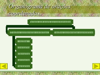 Organograma de orações coordenadas. 