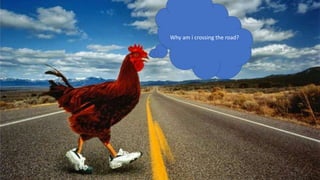 Why am i crossing the road?
 