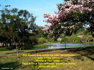 Pai Nosso que estás no céu, santificado seja o Teu nome. Venha o Teu reino... Seja feita a Tua vontade, assim na terra, como no céu...  Piracicaba - SP 