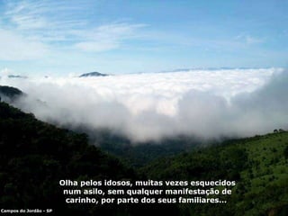 Olha pelos idosos, muitas vezes esquecidos num asilo, sem qualquer manifestação de carinho, por parte dos seus familiares...  Campos do Jordão - SP 