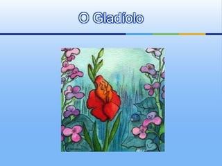 O Gladíolo
 