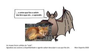 As imaxes foron collidas da “rede”.
Agradezo aos autores a dispoñibilidade e agardo saiban desculpar o uso que lles din. Mon Daporta 2020
... e entre que fun e volvín
isto foi o que vin... e aprendín
 