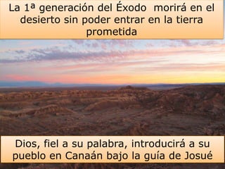 La 1ª generación del Éxodo morirá en el
desierto sin poder entrar en la tierra
prometida
Dios, fiel a su palabra, introducirá a su
pueblo en Canaán bajo la guía de Josué
 