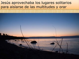 Jesús aprovechaba los lugares solitarios
para aislarse de las multitudes y orar
 