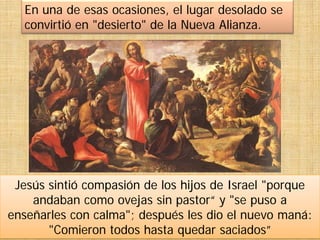 Jesús sintió compasión de los hijos de Israel "porque
andaban como ovejas sin pastor“ y "se puso a
enseñarles con calma"; después les dio el nuevo maná:
"Comieron todos hasta quedar saciados”
En una de esas ocasiones, el lugar desolado se
convirtió en "desierto" de la Nueva Alianza.
 