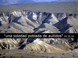 "una soledad poblada de aullidos“ Dt 32,10
 