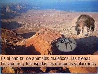 Es el hábitat de animales maléficos: las hienas,
las víboras y los áspides los dragones y alacranes
 