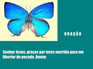 O R A Ç Ã O Senhor Jesus, graças por teres morrido para me libertar do pecado. Amém 