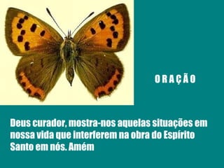 O R A Ç Ã O Deus curador, mostra-nos aquelas situações em nossa vida que interferem na obra do Espírito Santo em nós. Amém 