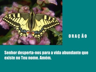 O R A Ç  Ã O Senhor desperta-nos para a vida abundante que existe no Teu nome. Amém. 