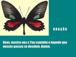 O R A Ç Ã O Deus, mostra-nos o Teu caminho e impede que nossos passos se desviem. Amém. 