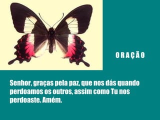 O R A Ç Ã O Senhor, graças pela paz, que nos dás quando perdoamos os outros, assim como Tu nos perdoaste. Amém. 