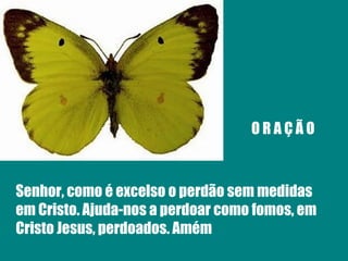 O R A Ç Ã O Senhor, como é excelso o perdão sem medidas em Cristo. Ajuda-nos a perdoar como fomos, em Cristo Jesus, perdoados. Amém 