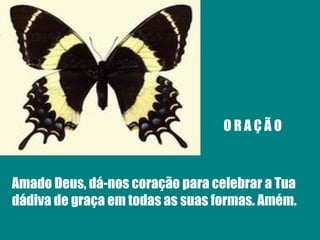 O R A Ç Ã O Amado Deus, dá-nos coração para celebrar a Tua dádiva de graça em todas as suas formas. Amém. 