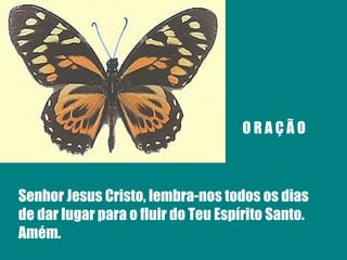 O R A Ç Ã O Senhor Jesus Cristo, lembra-nos todos os dias de dar lugar para o fluir do Teu Espírito Santo. Amém. 