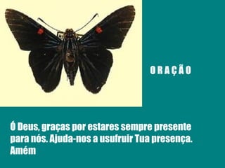 O R A Ç Ã O Ó Deus, graças por estares sempre presente para nós. Ajuda-nos a usufruir Tua presença. Amém 