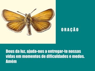 O R A Ç Ã O Deus da luz, ajuda-nos a entregar-te nossas vidas em momentos de dificuldades e medos. Amém 