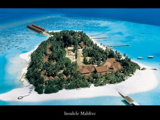 Insulele MaldiveInsulele Maldive
 
