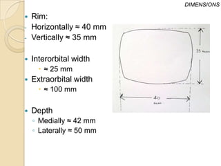 DIMENSIONS

   Rim:
-   Horizontally ≈ 40 mm
-   Vertically ≈ 35 mm

   Interorbital width
       ≈ 25 mm
   Extraorbital width
       ≈ 100 mm

   Depth
    ◦ Medially ≈ 42 mm
    ◦ Laterally ≈ 50 mm
 