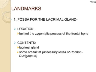 ROOF


LANDMARKS

•   1. FOSSA FOR THE LACRIMAL GLAND-

     LOCATION:
     behind the zygomatic process of the frontal bone

     CONTENTS:
     lacrimal gland
     some orbital fat (accessory fossa of Rochon-
       Duvigneaud)
 