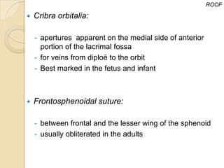 ROOF

   Cribra orbitalia:

    - apertures apparent on the medial side of anterior
      portion of the lacrimal fossa
    - for veins from diploë to the orbit
    - Best marked in the fetus and infant



   Frontosphenoidal suture:

    - between frontal and the lesser wing of the sphenoid
    - usually obliterated in the adults
 
