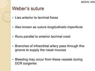 MEDIAL WAL


Weber’s suture
   Lies anterior to lacrimal fossa

   Also known as sutura longitudinalis imperfecta

   Runs parallel to anterior lacrimal crest

   Branches of infraorbital artery pass through this
    groove to supply the nasal mucosa

   Bleeding may occur from these vessels during
    DCR surgeries
 