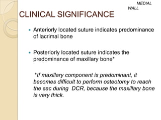 MEDIAL
                                             WALL
CLINICAL SIGNIFICANCE
     Anteriorly located suture indicates predominance
      of lacrimal bone

     Posteriorly located suture indicates the
      predominance of maxillary bone*

       *If maxillary component is predominant, it
      becomes difficult to perform osteotomy to reach
      the sac during DCR, because the maxillary bone
      is very thick.
 