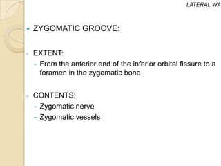LATERAL WAL



   ZYGOMATIC GROOVE:


-   EXTENT:
    - From the anterior end of the inferior orbital fissure to a
      foramen in the zygomatic bone


-   CONTENTS:
    - Zygomatic nerve
    - Zygomatic vessels
 