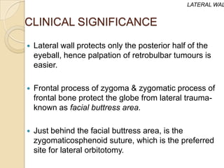 LATERAL WAL


CLINICAL SIGNIFICANCE

   Lateral wall protects only the posterior half of the
    eyeball, hence palpation of retrobulbar tumours is
    easier.

   Frontal process of zygoma & zygomatic process of
    frontal bone protect the globe from lateral trauma-
    known as facial buttress area.

   Just behind the facial buttress area, is the
    zygomaticosphenoid suture, which is the preferred
    site for lateral orbitotomy.
 