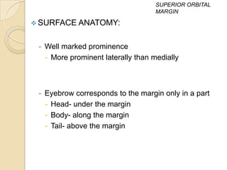 SUPERIOR ORBITAL
                                    MARGIN

 SURFACE ANATOMY:


 - Well marked prominence
   - More prominent laterally than medially



 - Eyebrow corresponds to the margin only in a part
   - Head- under the margin
   - Body- along the margin
   - Tail- above the margin
 