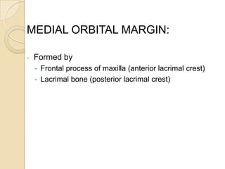 MEDIAL ORBITAL MARGIN:

-   Formed by
    - Frontal process of maxilla (anterior lacrimal crest)
    - Lacrimal bone (posterior lacrimal crest)
 