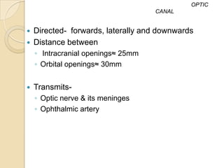 OPTIC
                                    CANAL


   Directed- forwards, laterally and downwards
   Distance between
    ◦ Intracranial openings≈ 25mm
    ◦ Orbital openings≈ 30mm


   Transmits-
    ◦ Optic nerve & its meninges
    ◦ Ophthalmic artery
 