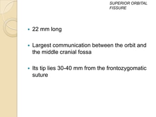 SUPERIOR ORBITAL
                                   FISSURE




   22 mm long

   Largest communication between the orbit and
    the middle cranial fossa

   Its tip lies 30-40 mm from the frontozygomatic
    suture
 