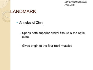SUPERIOR ORBITAL
                                       FISSURE


LANDMARK

    Annulus of Zinn


     - Spans both superior orbital fissure & the optic
       canal

     - Gives origin to the four recti muscles
 
