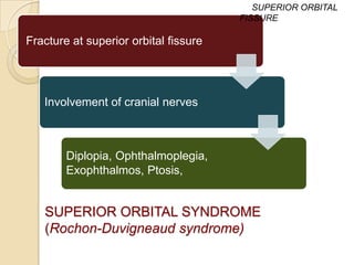 SUPERIOR ORBITAL
                                       FISSURE

Fracture at superior orbital fissure




   Involvement of cranial nerves



        Diplopia, Ophthalmoplegia,
        Exophthalmos, Ptosis,


   SUPERIOR ORBITAL SYNDROME
   (Rochon-Duvigneaud syndrome)
 
