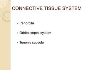 CONNECTIVE TISSUE SYSTEM


    Periorbita

    Orbital septal system

    Tenon’s capsule
 