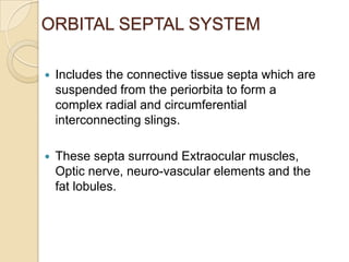 ORBITAL SEPTAL SYSTEM

   Includes the connective tissue septa which are
    suspended from the periorbita to form a
    complex radial and circumferential
    interconnecting slings.

   These septa surround Extraocular muscles,
    Optic nerve, neuro-vascular elements and the
    fat lobules.
 