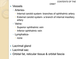 CONTENTS OF THE
                                      ORBIT
   Vessels
    ◦ Arteries-
       Internal carotid system- branches of ophthalmic artery
       External carotid system- a branch of internal maxillary
        artery
    ◦ Veins-
       Superior ophthalmic vein
       Inferior ophthalmic vein
    ◦ Lymphatics-
       none


   Lacrimal gland
   Lacrimal sac
   Orbital fat, reticular tissue & orbital fascia
 
