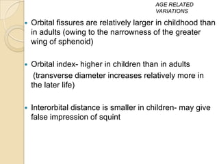 AGE RELATED
                                         VARIATIONS

   Orbital fissures are relatively larger in childhood than
    in adults (owing to the narrowness of the greater
    wing of sphenoid)

   Orbital index- higher in children than in adults
     (transverse diameter increases relatively more in
    the later life)

   Interorbital distance is smaller in children- may give
    false impression of squint
 
