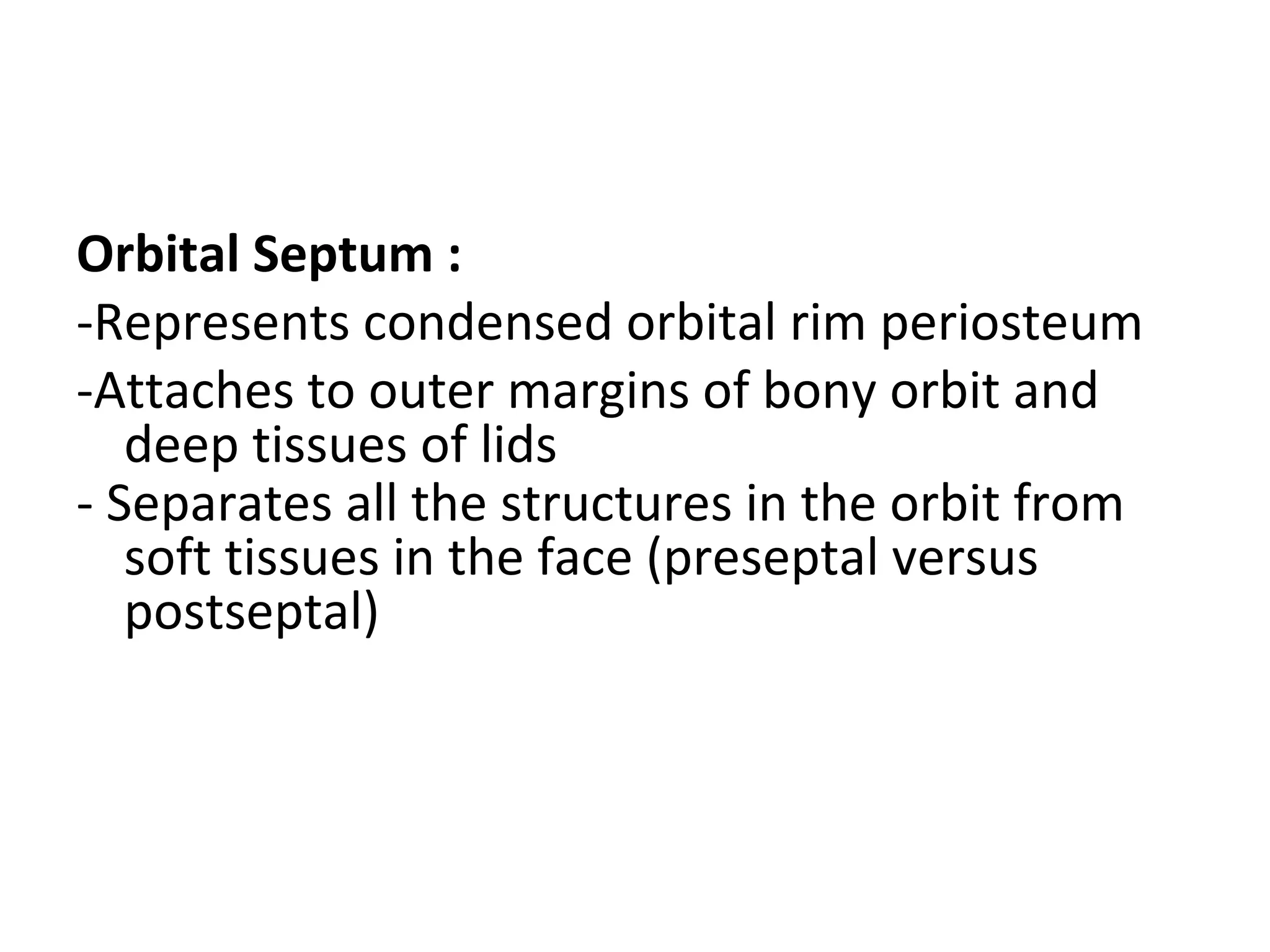 Orbital Septum :
-Represents condensed orbital rim periosteum
-Attaches to outer margins of bony orbit and
deep tissues of lids
- Separates all the structures in the orbit from
soft tissues in the face (preseptal versus
postseptal)
 