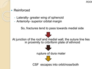  Reinforced
- Laterally- greater wing of sphenoid
- Anteriorly- superior orbital margin
So, fractures tend to pass towards medial side
At junction of the roof and medial wall, the suture line lies
in proximity to cribriform plate of ethmoid
rupture of dura mater
CSF escapes into orbit/nose/both
ROOF
 
