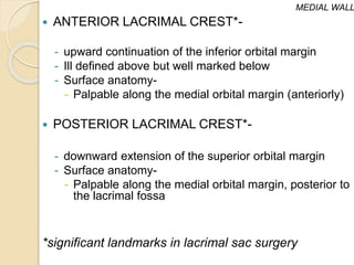  ANTERIOR LACRIMAL CREST*-
- upward continuation of the inferior orbital margin
- Ill defined above but well marked below
- Surface anatomy-
- Palpable along the medial orbital margin (anteriorly)
 POSTERIOR LACRIMAL CREST*-
- downward extension of the superior orbital margin
- Surface anatomy-
- Palpable along the medial orbital margin, posterior to
the lacrimal fossa
*significant landmarks in lacrimal sac surgery
MEDIAL WALL
 