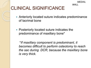 CLINICAL SIGNIFICANCE
 Anteriorly located suture indicates predominance
of lacrimal bone
 Posteriorly located suture indicates the
predominance of maxillary bone*
*If maxillary component is predominant, it
becomes difficult to perform osteotomy to reach
the sac during DCR, because the maxillary bone
is very thick.
MEDIAL
WALL
 