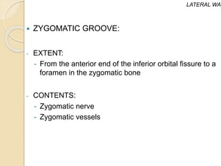  ZYGOMATIC GROOVE:
- EXTENT:
- From the anterior end of the inferior orbital fissure to a
foramen in the zygomatic bone
- CONTENTS:
- Zygomatic nerve
- Zygomatic vessels
LATERAL WAL
 