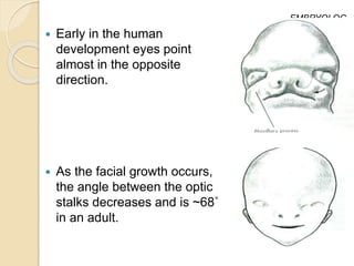  Early in the human
development eyes point
almost in the opposite
direction.
 As the facial growth occurs,
the angle between the optic
stalks decreases and is ~68˚
in an adult.
EMBRYOLOG
Y
 