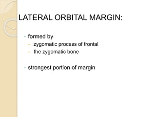 LATERAL ORBITAL MARGIN:
- formed by
- zygomatic process of frontal
- the zygomatic bone
- strongest portion of margin
 
