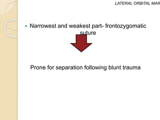  Narrowest and weakest part- frontozygomatic
suture
Prone for separation following blunt trauma
LATERAL ORBITAL MAR
 