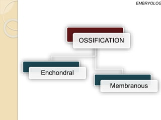 OSSIFICATION
Enchondral
Membranous
EMBRYOLOG
 