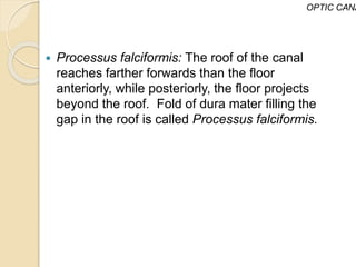  Processus falciformis: The roof of the canal
reaches farther forwards than the floor
anteriorly, while posteriorly, the floor projects
beyond the roof. Fold of dura mater filling the
gap in the roof is called Processus falciformis.
OPTIC CANA
 